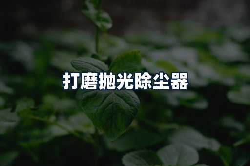 打磨抛光除尘器
